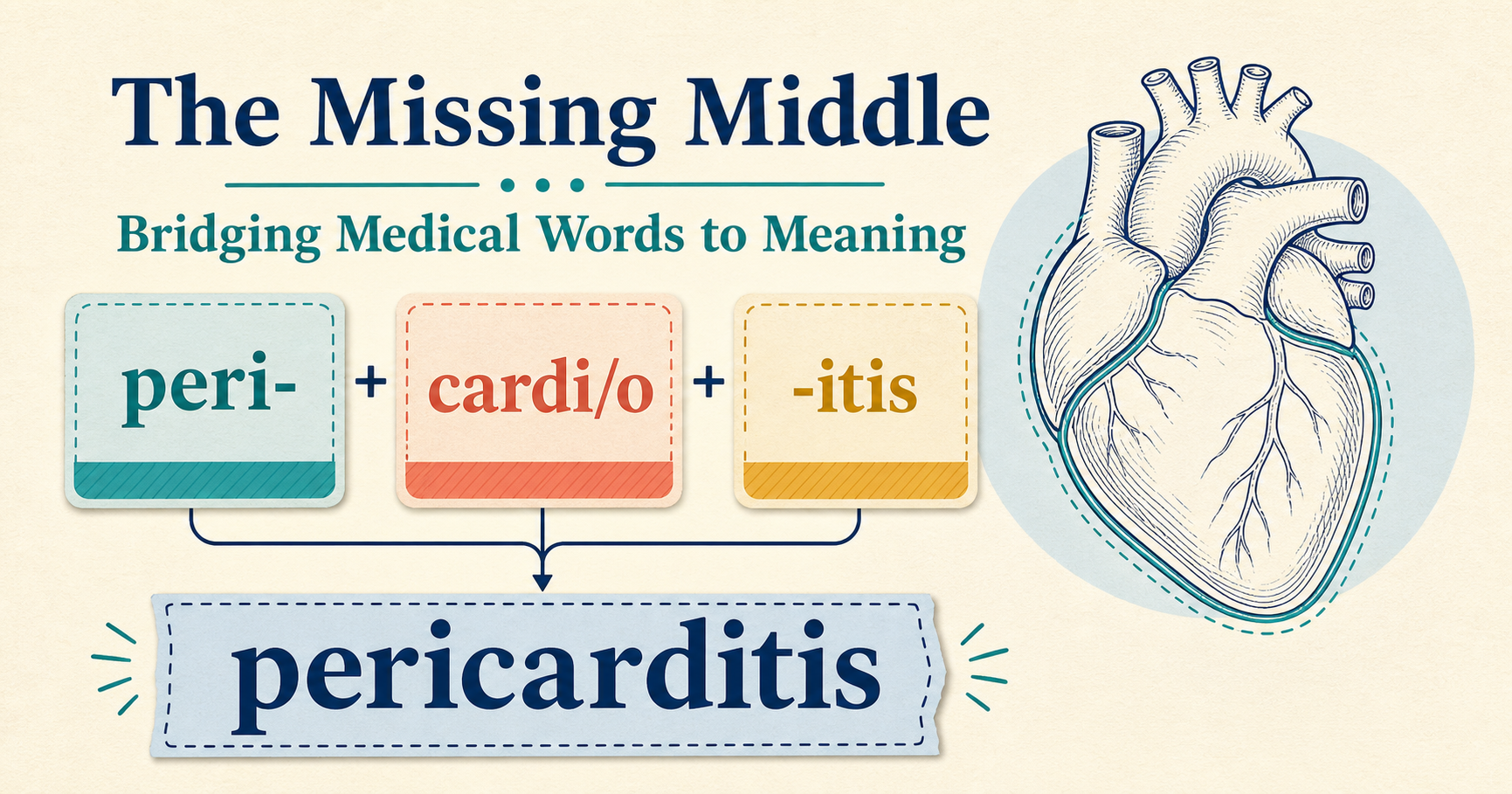 Medical word parts represented through a clinical-to-classroom bridge